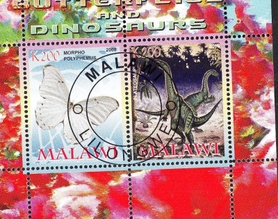 Малави 2008 доисторическая фауна (5) - 36