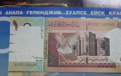 Судан 1 фунт 2006 г пресс до  4.10 в 21-00 - DSC04666.JPG