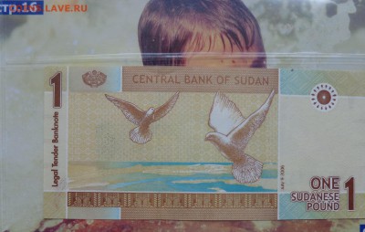 Судан 1 фунт 2006 г пресс до  4.10 в 21-00 - DSC04667.JPG