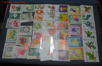 Советский альбом с марками до 16,12,10.до 21.00 - P1020740.JPG