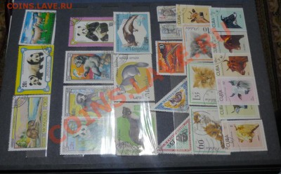 Советский альбом с марками до 16,12,10.до 21.00 - P1020743.JPG
