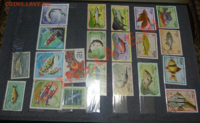 Советский альбом с марками до 16,12,10.до 21.00 - P1020744.JPG