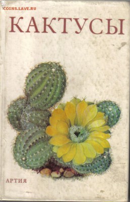 Шубик Рудольф. Кактусы до 2.10 22.00мск - Кактусы-1