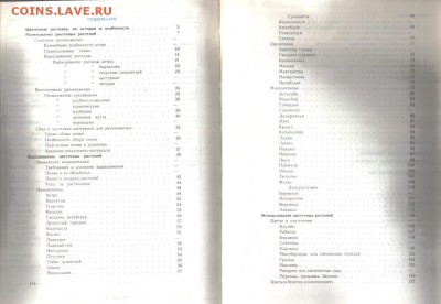 Кудрявец Д.Б., Петренко Н.А. Как вырастить цветы до 2.10 22. - Как вырастить цветы-2