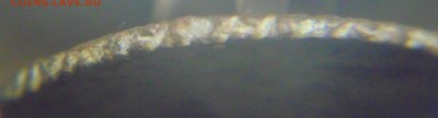 Полушка 1731 - DSC04797.JPG