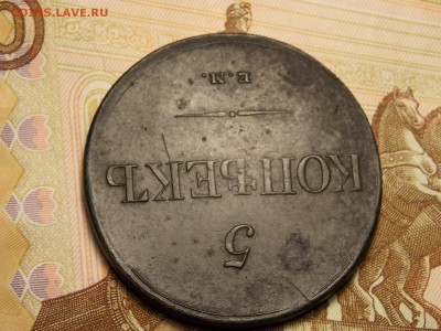 5 коп.1831  ЕМ ФХ на оценку. - DSCN5070.JPG