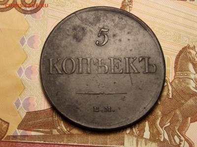 5 коп.1831  ЕМ ФХ на оценку. - DSCN5069.JPG
