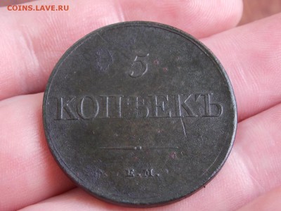 5 коп.1831 ем.фх - DSCN5083.JPG