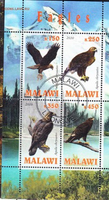 Малави 2010 орлы - 66