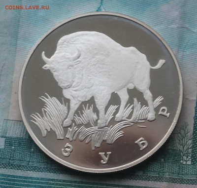 1 рубль 1997 г. ЗУБР Пруф, Красная книга - IMG_5504.JPG