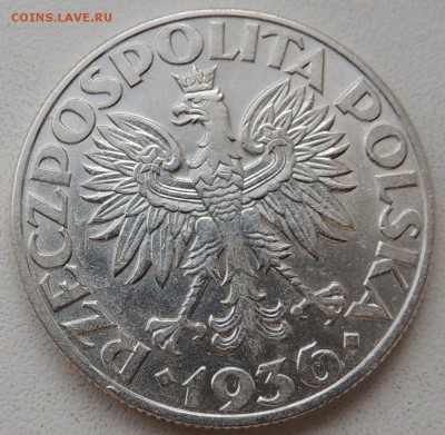 5 злотых 1936 (Корабль) до 22.00 08.10.2016 - DSCN2867.JPG