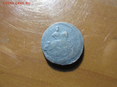Лизина копейка - IMG_2862.JPG