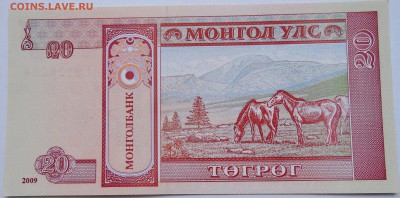 МОНГОЛИЯ - 20 тугриков 2009 г. пресс до 09.10 в 22.00 - DSCN8382