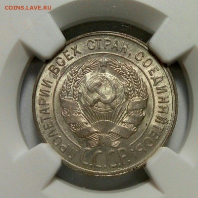 10, 20-1925 и 20-1929 MS65 - gYGUlBfoHFM