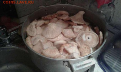 полтина петра 1 - фото монет 015_thumb