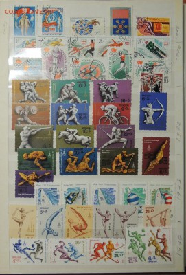 СПОРТ - 93 страны - DSCN4128