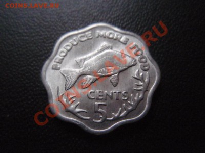 Сейшелы 5 центов 1977 ФАО до 16.12 в 21.00 М - PC120430.JPG