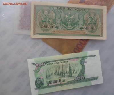 Камбоджа 100,Индонезия 2.5   до 10.10  в 21-00 м - DSC04722.JPG
