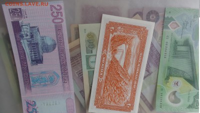 Иран,Ирак,Новая Гвинея 2  до 10.10  в 21-00 м - DSC04730.JPG