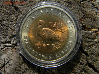 Красная книга полный комплект - DSCN9177.JPG