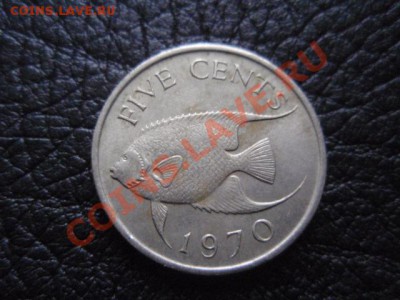 Бермуды 5 центов 1970 Рыба до 16.12 в 21.00 М - PB306750.JPG