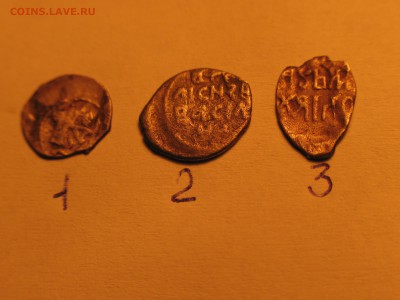 3 чешуи на определение. - IMG_0102.JPG