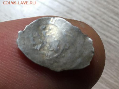 Помогите определить - IMG_6117.JPG