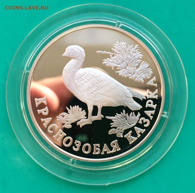 Красная книга 1994 год. Медведь, Казарка, Кобра - Казарка 1-1