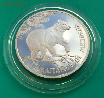 Красная книга 1994 год. Медведь, Казарка, Кобра - Медведь 1