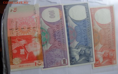 Суринам 5-10-10,Тонга 2  пресс до 6.10  в 21-15 мск - DSC04788.JPG