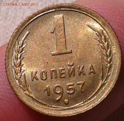 1 копейка 1950, 1951, 1953, 1957гг UNC до 06.10.16 - Фото-0542