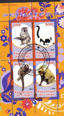 Конго 2010 приматы - 10