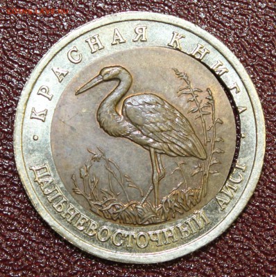Брак: смещение вн.вст. 10р. 1993г. Кр.книга: Аист до 07.10. - IMG_9826.JPG