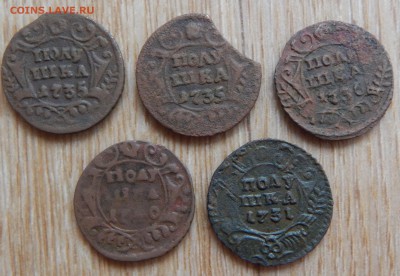 Полушки 1731,35,36,40гг. 5шт. - DSCN1384.JPG