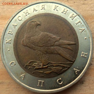 красная книга 50 рублей 1994 г Сапсан - SAM_5520.JPG