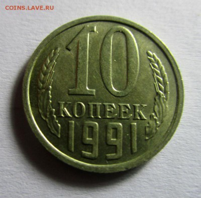 Б - короткий аук.07-10-2016 в 22-00 - IMG_3274.JPG