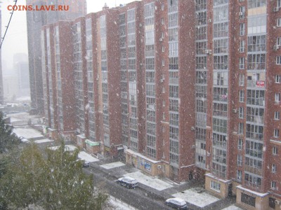ФОТО - просто фото. Те что получились удачными. - IMG_3091[1].JPG