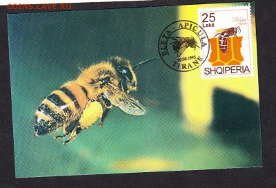 Албания 1995 КПД пчела - 7