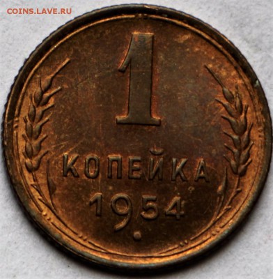 1 копейка 1954 год. *** штемп. блеск *** 12,10,16 в 22,00 - IMG_3508.JPG