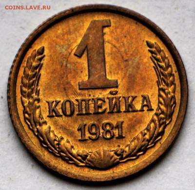 1 коп. 1979,81 год. ** штемп. блеск ** 12,10,16 в 22,00 - IMG_3520.JPG