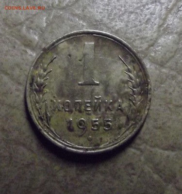 1 копейка 1955 года - 7.JPG