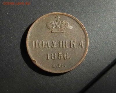 полушка - 1856 ЕМ -Вензель А2 - до 10.10.2016 - DSCN9175