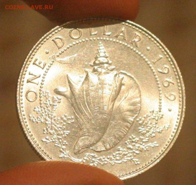 Багамы 1 доллар 1966  Ракушка UNC до 11.10 в 22-00 - 008.JPG