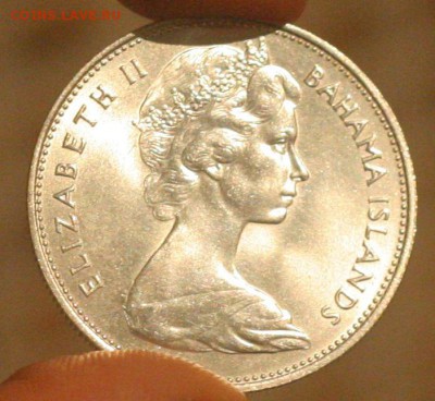 Багамы 1 доллар 1966  Ракушка UNC до 11.10 в 22-00 - 007.JPG