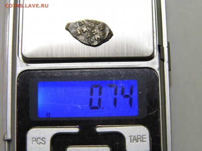 Чешуйка Василий-3 до 11.10.16 в 22-00 - P1050284.JPG