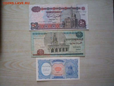 ЕГИПЕТСКИЕ фунты :50+5 (дешевле курса)до 14.10.2016 23-59 - SDC12408.JPG