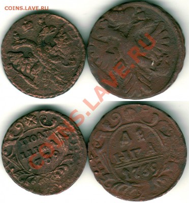 денга, полушка 1739 - до 21-00мск 16.12 - p-d1739