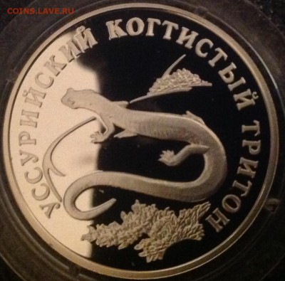 Тритон 1 рубль 2006 год короткий до 10.10 в 22.00 - IMG_7240.JPG