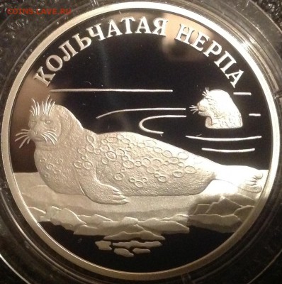 Нерпа 1 рубль 2007 год короткий до 10.10 в 22.00 - IMG_7244.JPG
