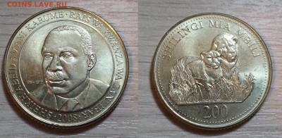 Иностранная экзотика - предпродажная - Безимени-1